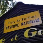 Sfeer - Furfooz ~ Parc naturelle de Furfooz (Namen) 09-10-2021 ©Steve Wullaert