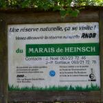 Sfeer - Heinsch ~ Marais de Heinsch (Luxemburg) 19-07-2020 ©Steve Wullaert 
