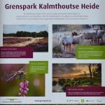 Sfeer - Kalmthout ~ Kalmthoutse Heide (Antwerpen) 10-07-2021 ©Steve Wullaert 