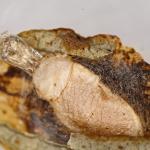 Fomoria septembrella - Hertshooimineermot